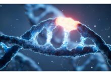 Cientistas decifram mecanismo oculto que ativa genes no DNA humano