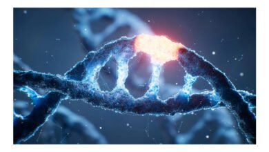 Cientistas decifram mecanismo oculto que ativa genes no DNA humano