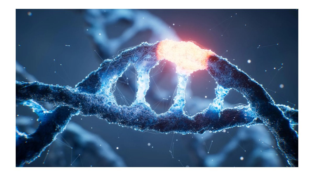 Cientistas decifram mecanismo oculto que ativa genes no DNA humano