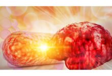 Estudo revela relação entre saúde intestinal e risco de Alzheimer