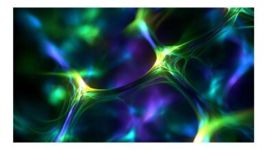 Avanço permite identificar fractons em líquidos quânticos de spin