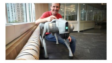 Brasileiro investe R$ 20 mil em cão-robô chinês e relata experiência