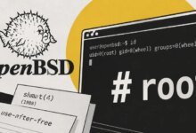 Falha de 37 anos em memória compartilhada permite ataque root no OpenBSD