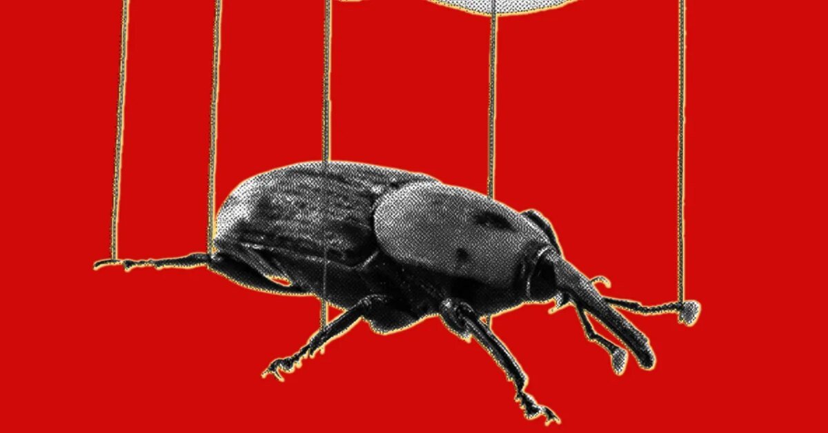 IA amplia riscos ao tornar falhas em PHP mais exploráveis