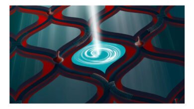 Cientistas reproduzem efeito quântico que impede movimento de partícula