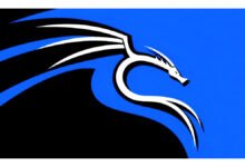 Kali Linux 2026.3 traz seis novas ferramentas e melhorias na interface