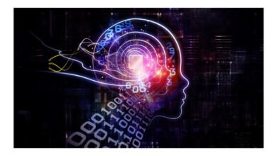Matemática por trás do Alzheimer abre caminho para novas terapias